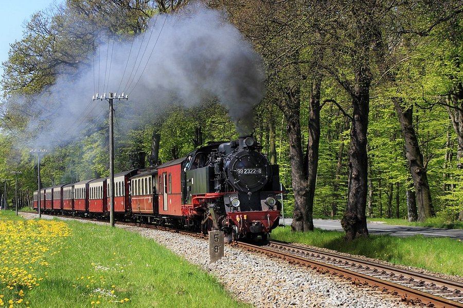 The Mollie Steam Train image
