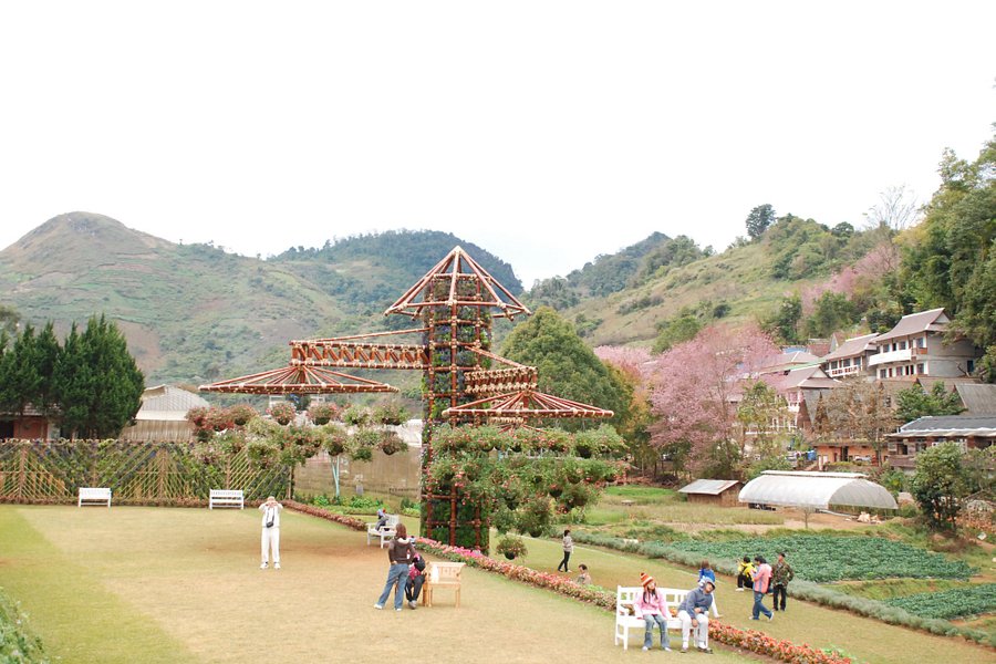 The Royal Agricultural Station Angkhang image