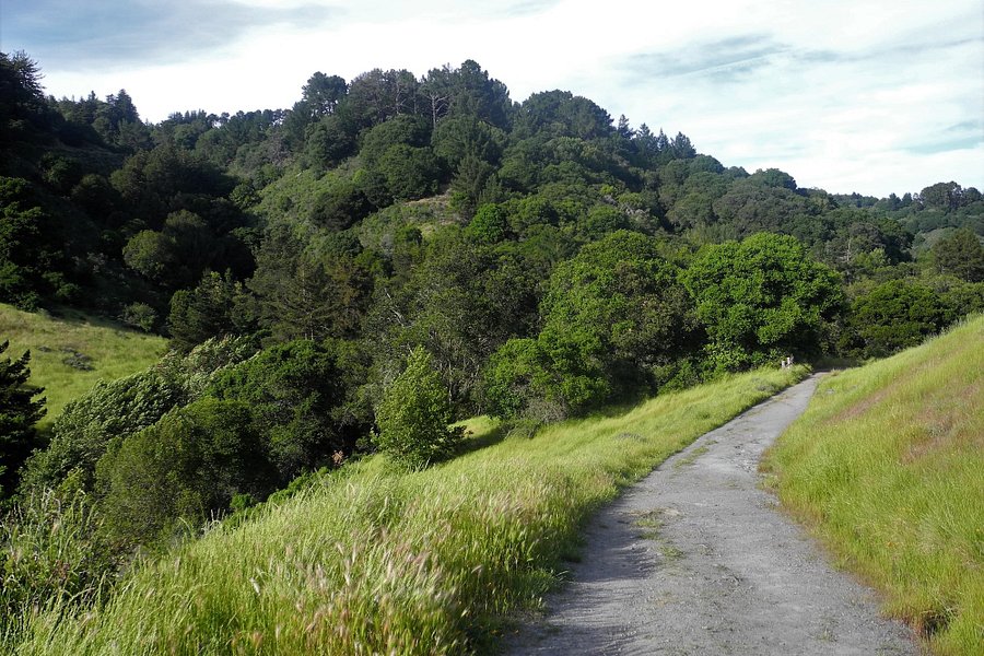 Redwood Regional Park image