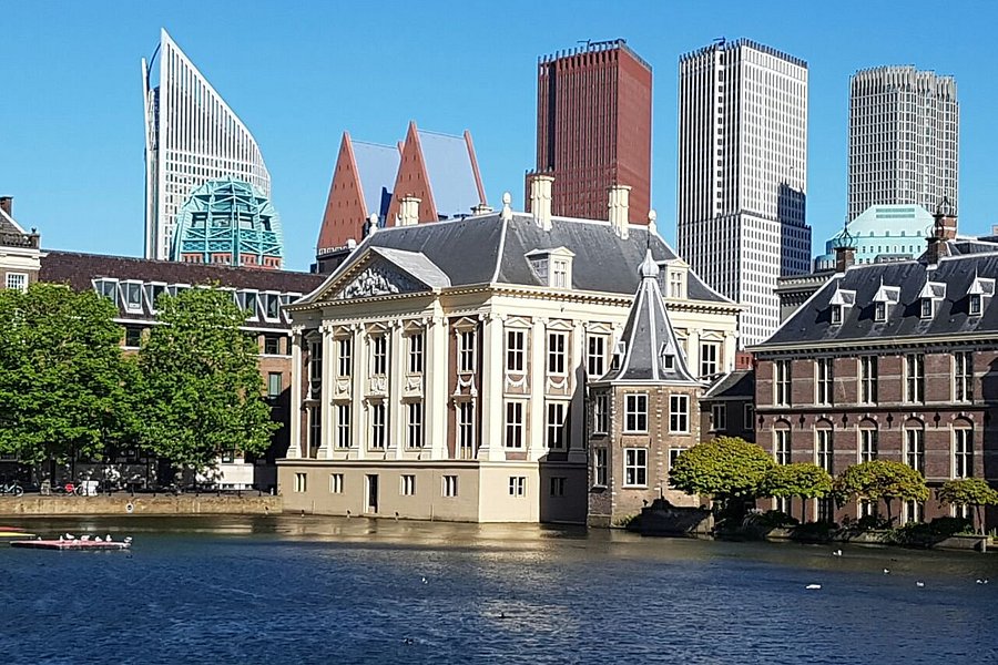 The Mauritshuis Royal Picture Gallery image
