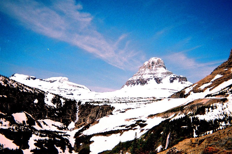 Glacier National Park Sun Tours image