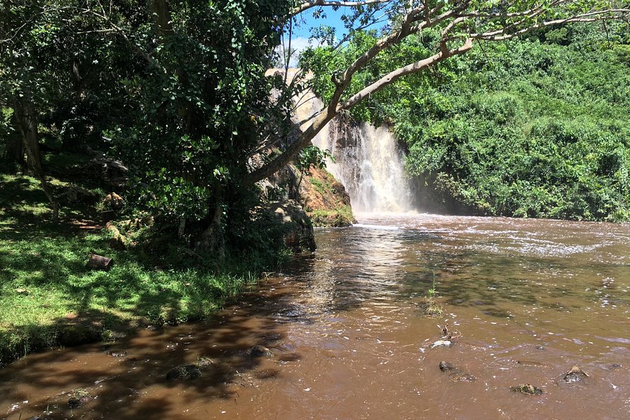 Ssezibwa River Falls image