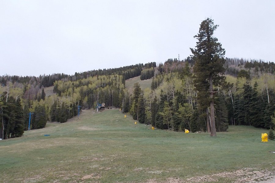 Pajarito Mountain Ski Area image