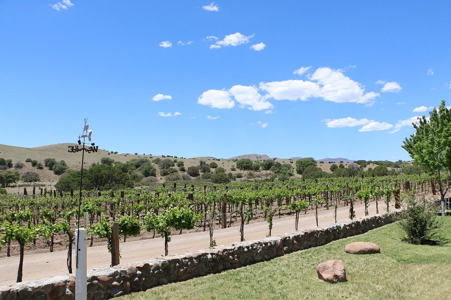 La Esperanza Vineyard and Winery image