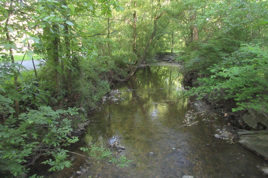 Sligo Creek Park image
