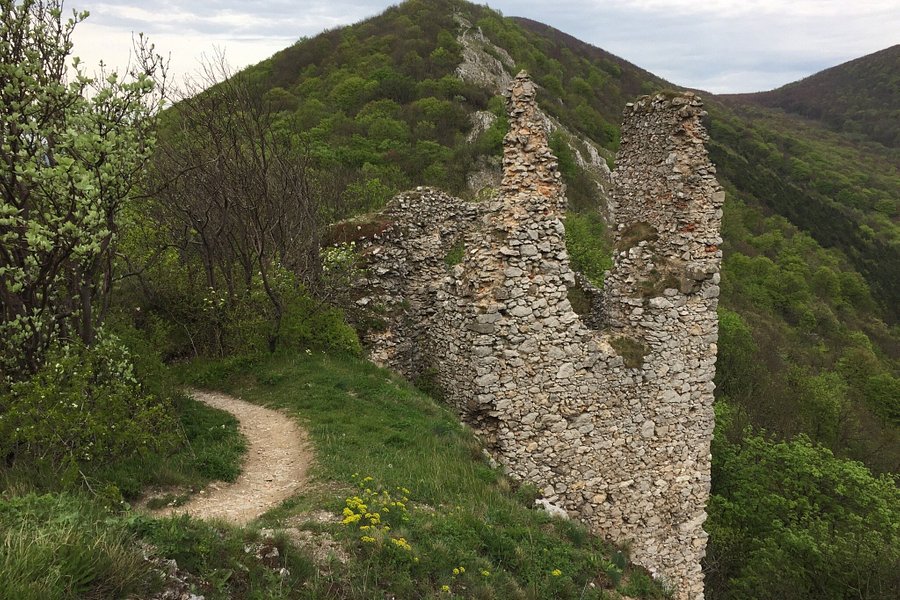 Ostry Karmen Castle image