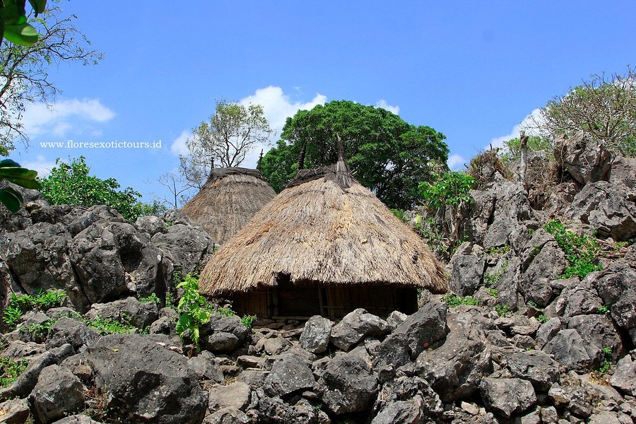 Tamkesi - Traditional Village image