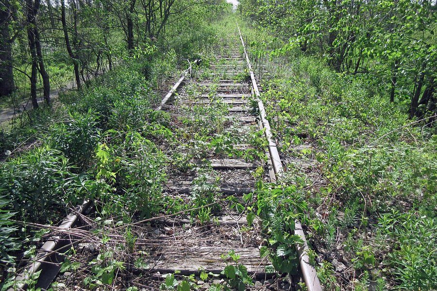 Delhi Rail Trail image