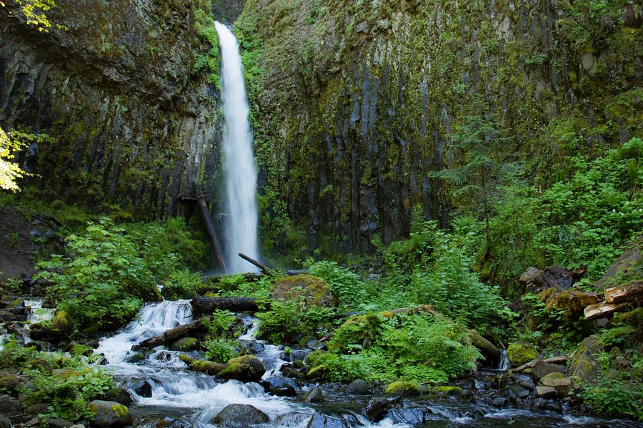 Dry Creek Falls Hike image