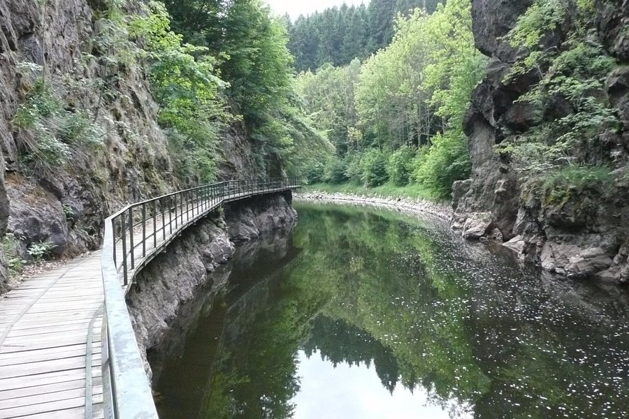 Riegrova Trail image