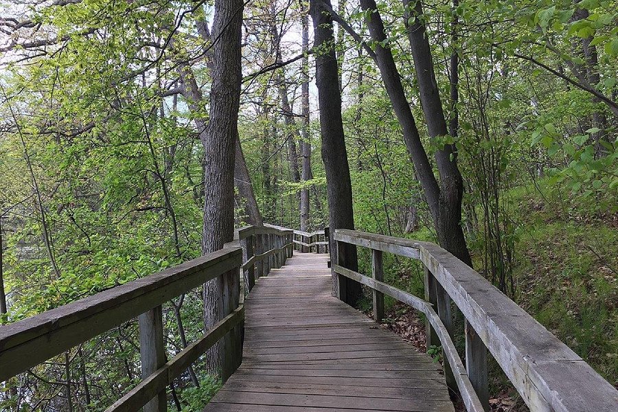 Rattray Marsh Conservation Area image