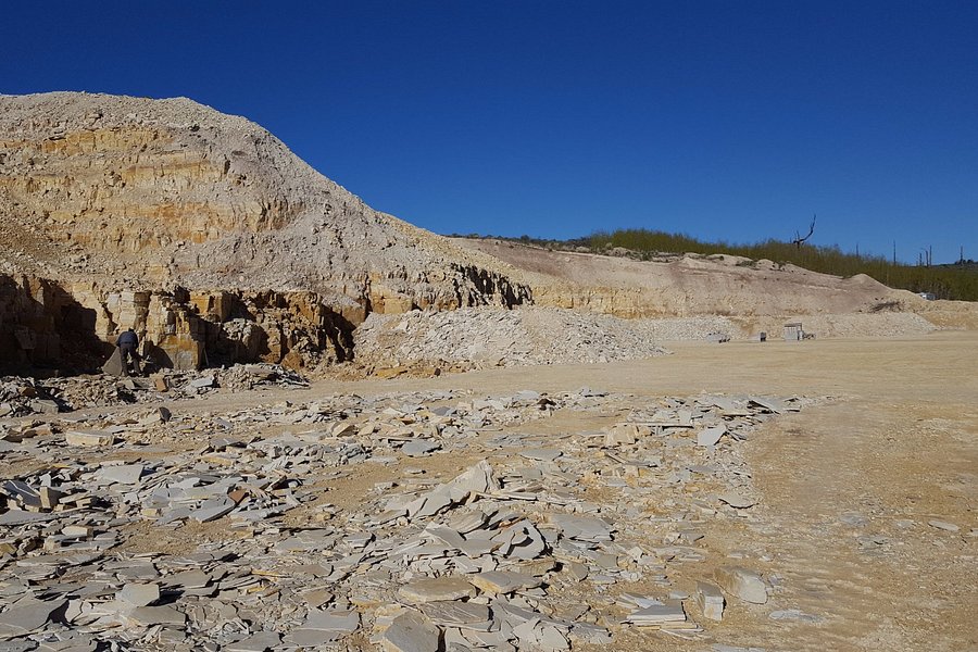 Fossil Safari at Warfield Fossil Quarries image