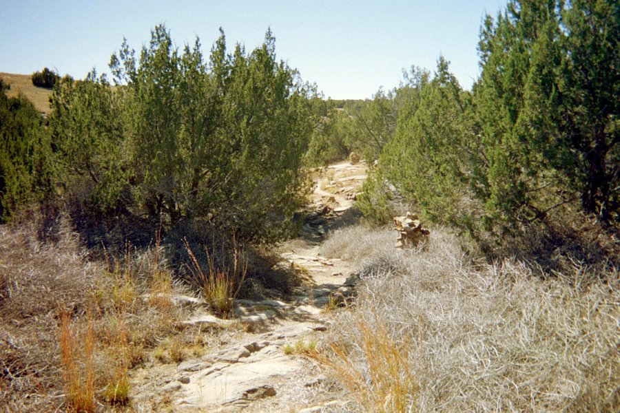 Vogel Canyon image