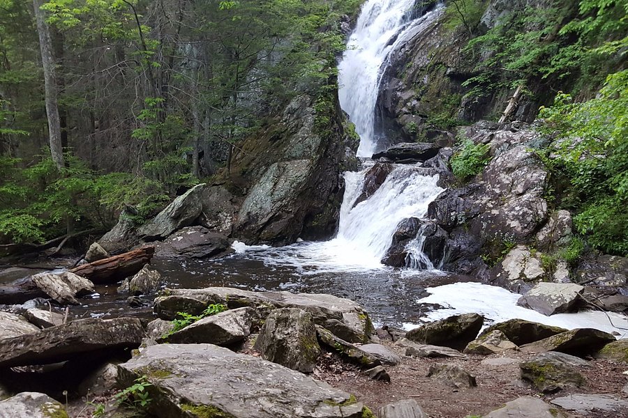 Campbell Falls State Park image