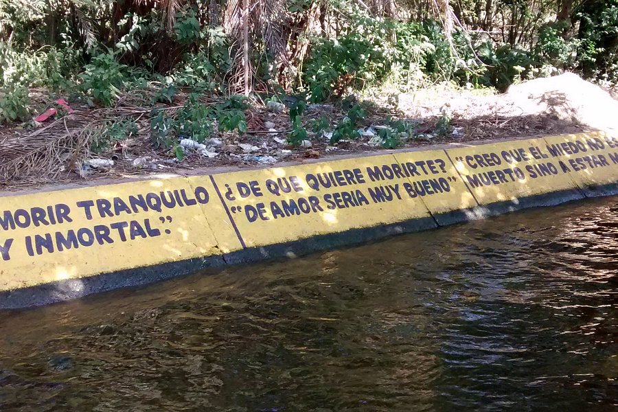 Rio Aracataca image