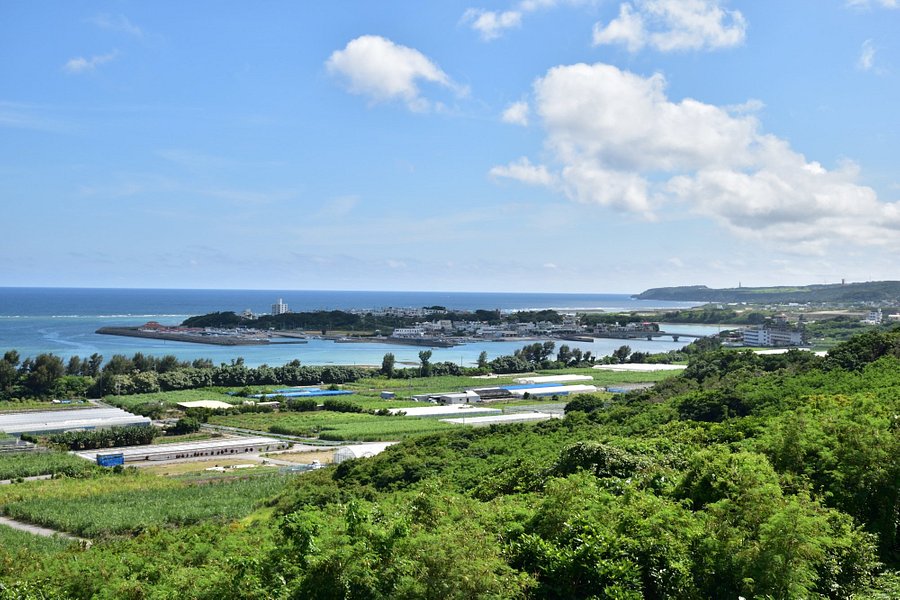 Ojima Island image