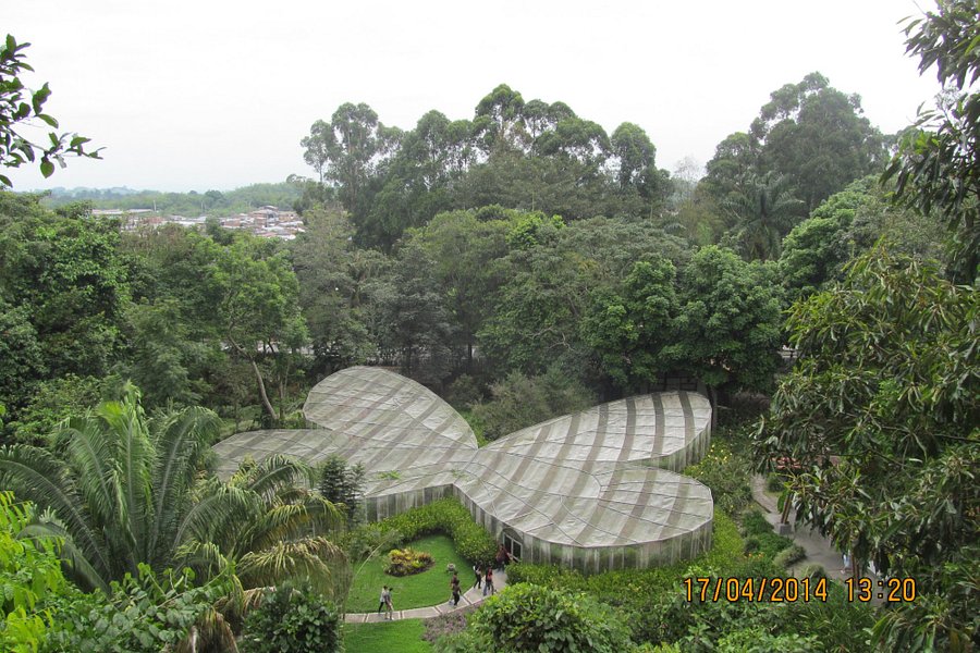 Jardin Botanico Universidad Tecnologica de Pereira image