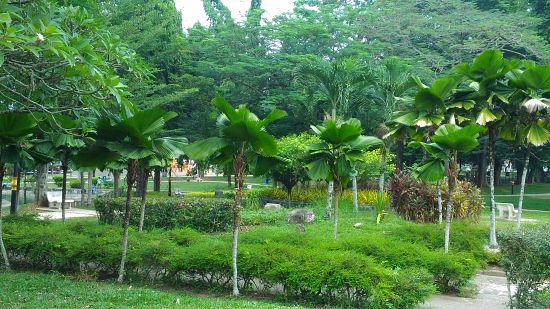 Taman Jubli Perak Playground image