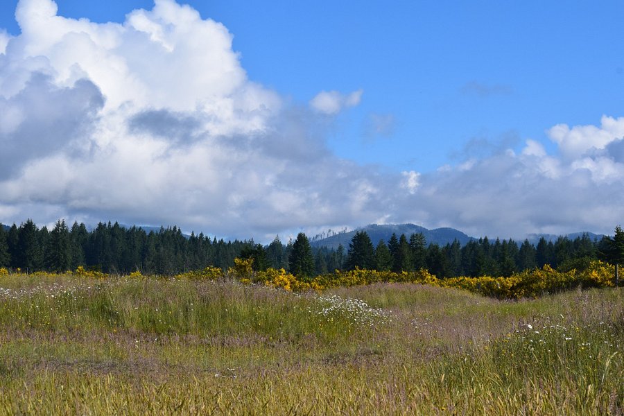 Mima Mounds Natural Area Preserve image