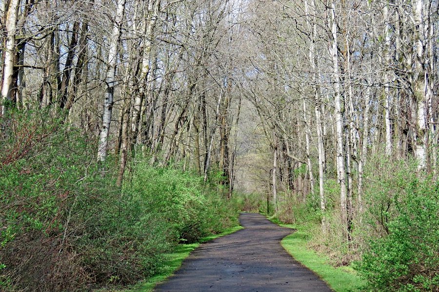 Allegany River Valley Trail image