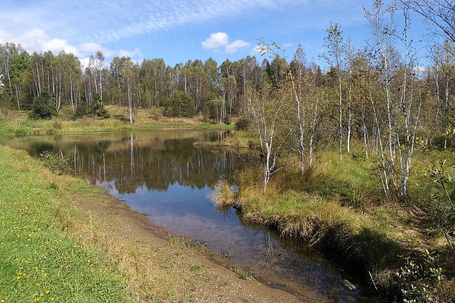 Vlasina Lake image