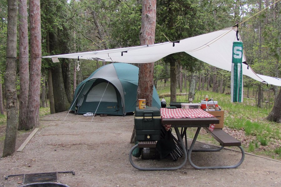 D.H. Day Campground image