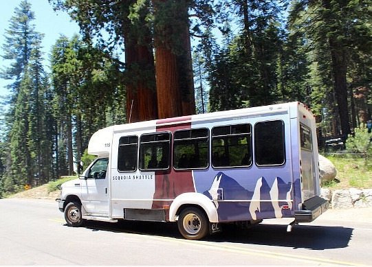Sequoia Shuttle image