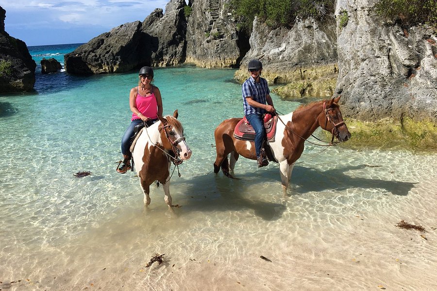 Bermuda's Best Horse Trail Rides and Horses image