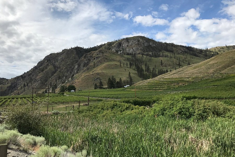 Methow Valley image