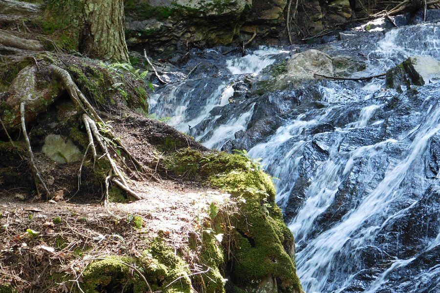 Thundering Brook Falls Trail image