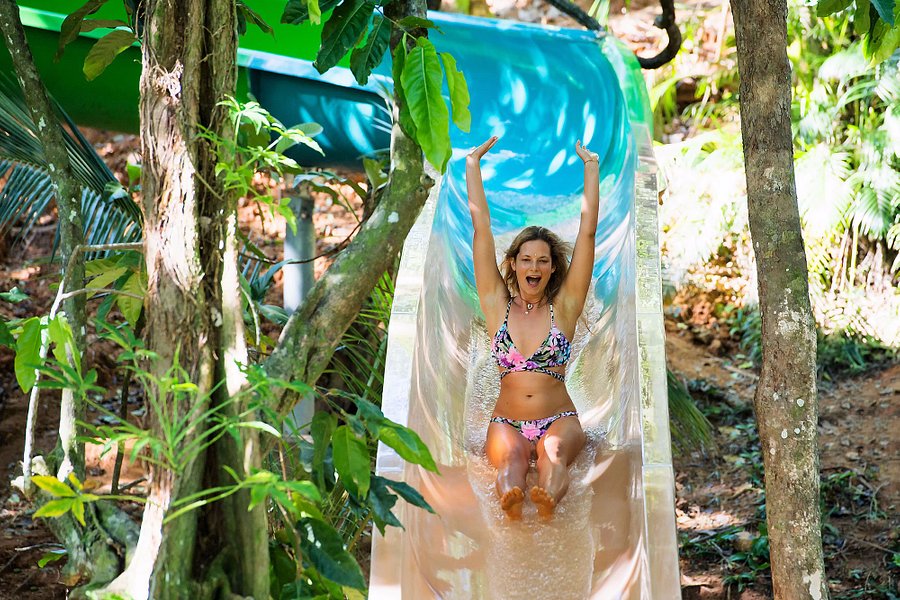 Splash Mountain Jungle Water Slide image