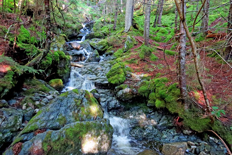 Fundy National Park image