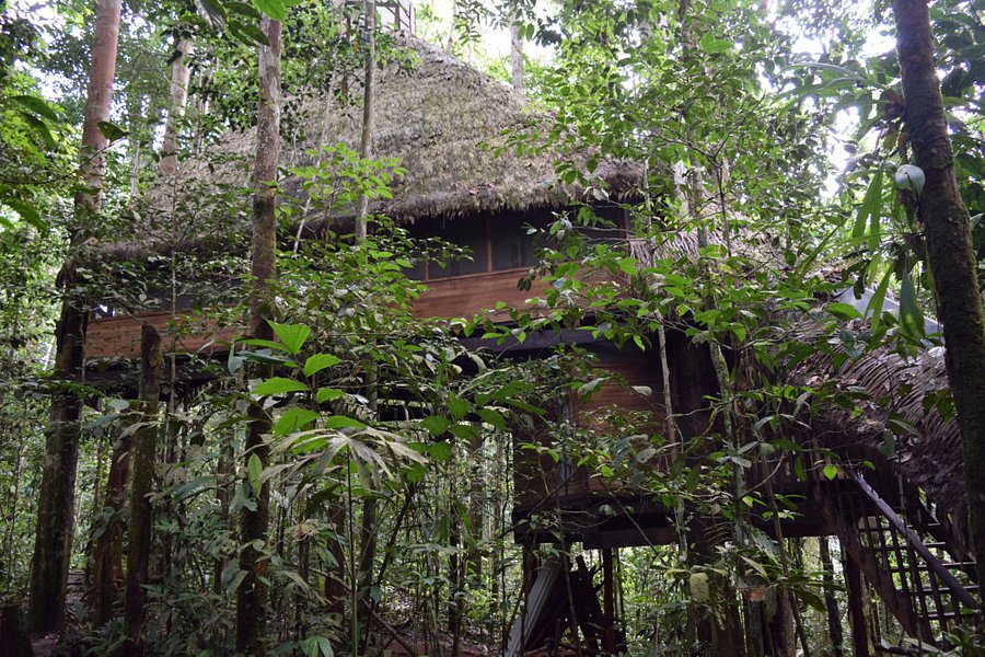 Reserva Natural Tanimboca image