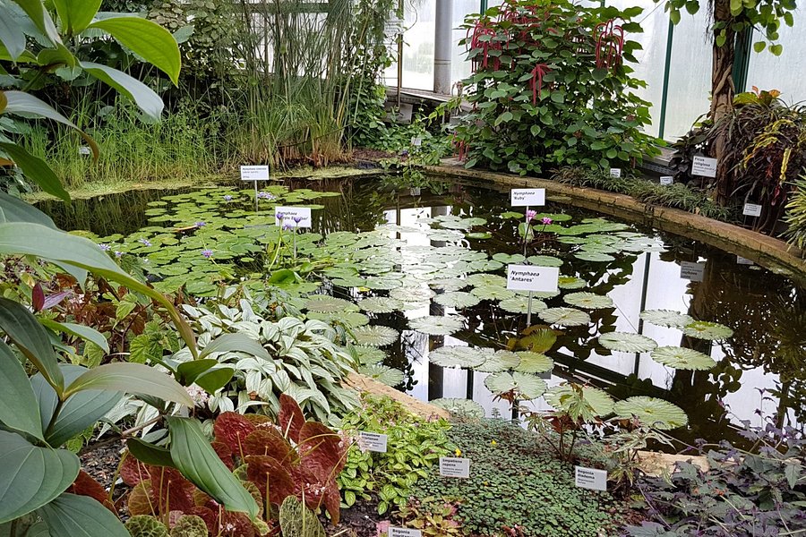 Liberec Botanical Garden image