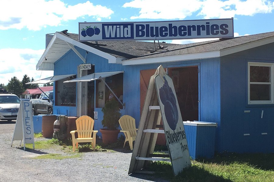 McKay's Wild Blueberry Farm Stand image