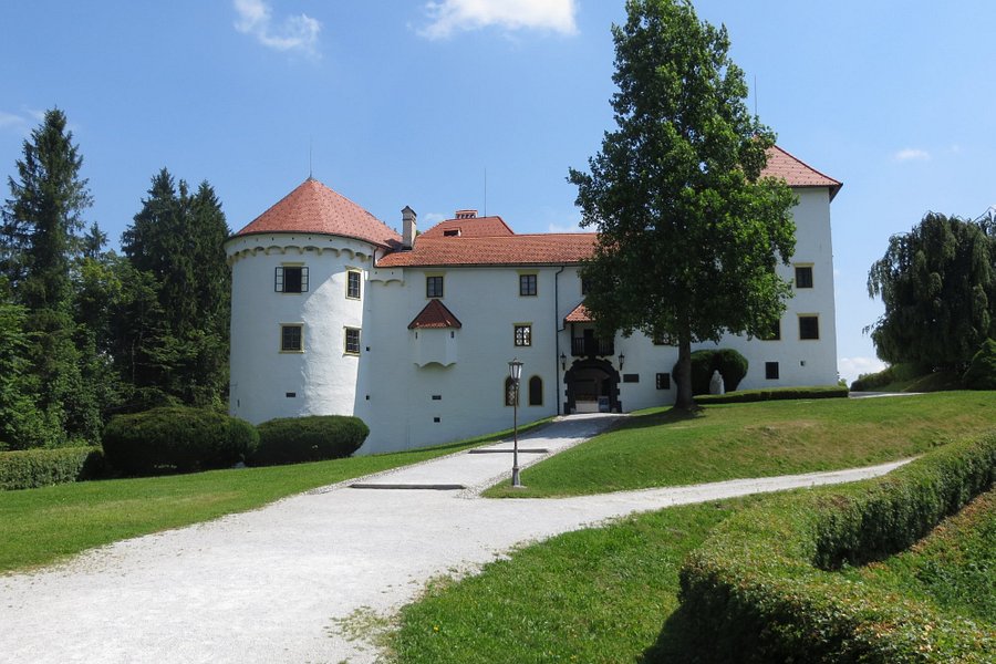 Bogensperk Castle image