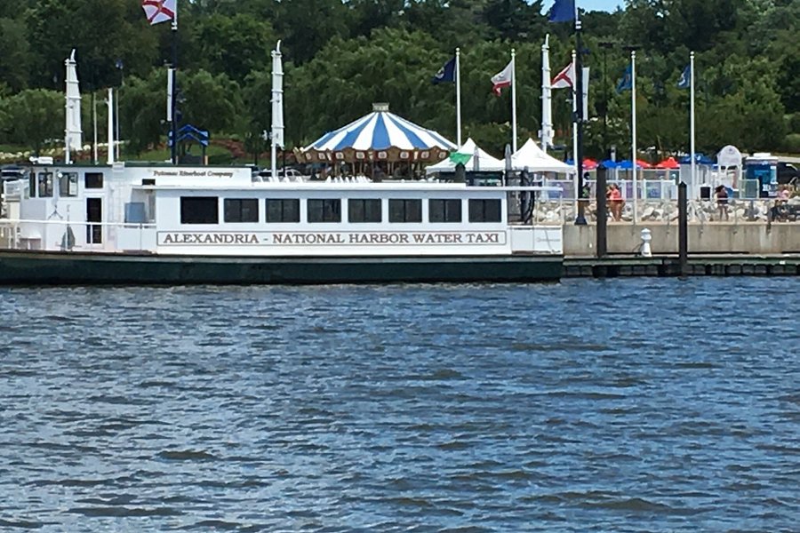 Potomac Water Taxi image