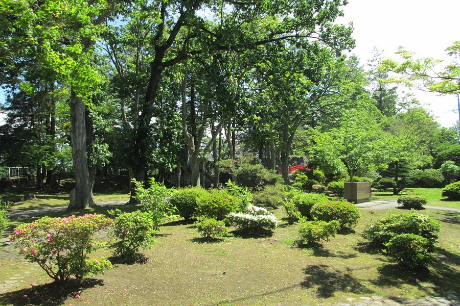 Iwate Park (Koen) image