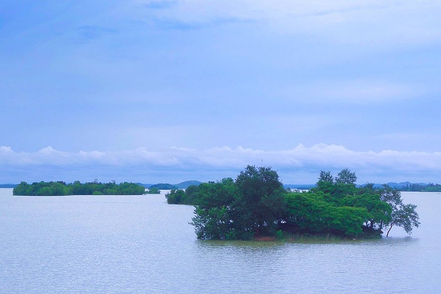 Mukutmanipur Dam image