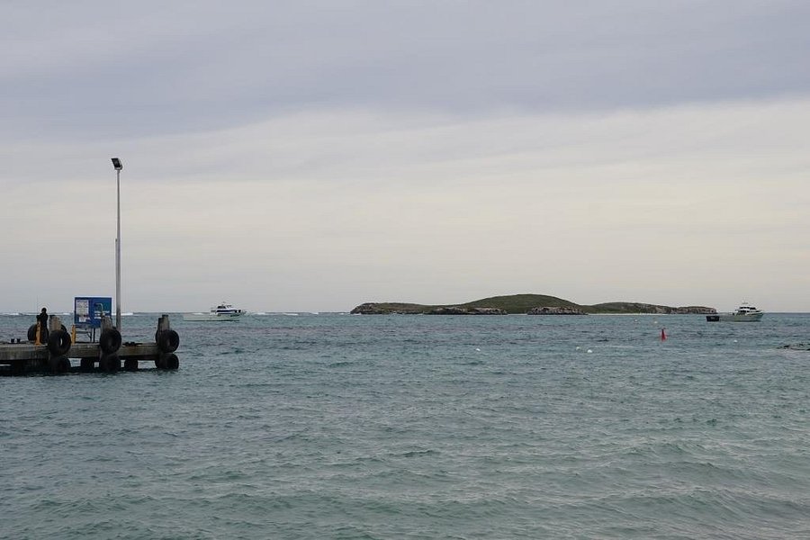 Lancelin Island image