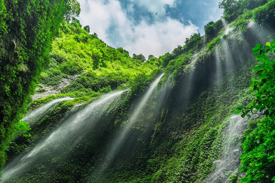 Madakaripura Waterfall image