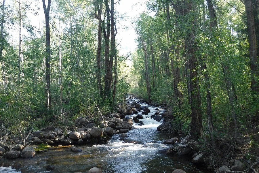 Hunter Creek Trail image