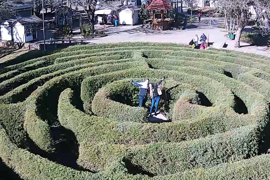 Labirinto Verde image