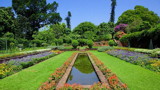 Durban Botanic Gardens image