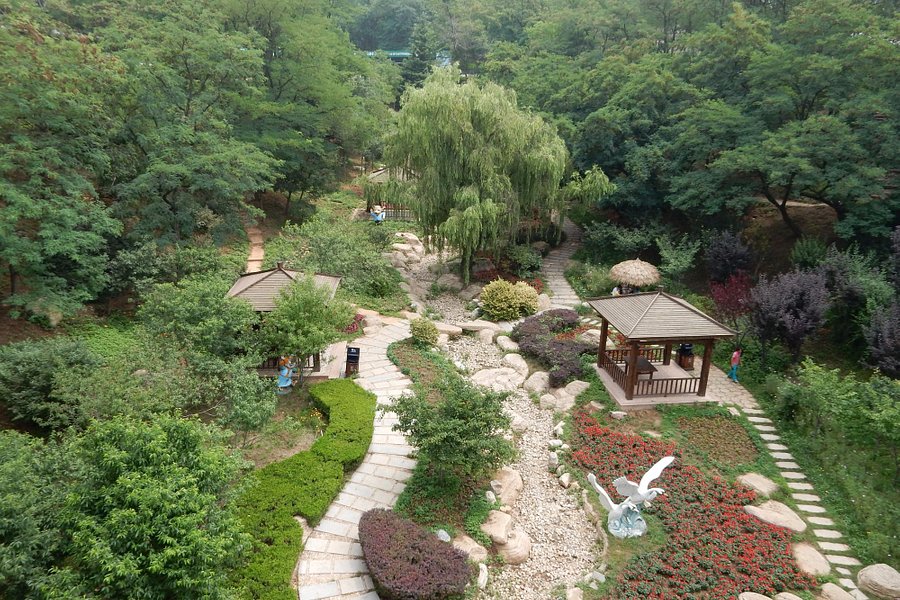 Dalian Forest Zoo image
