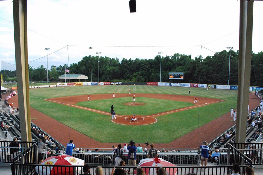 Lexington County Baseball Stadium image