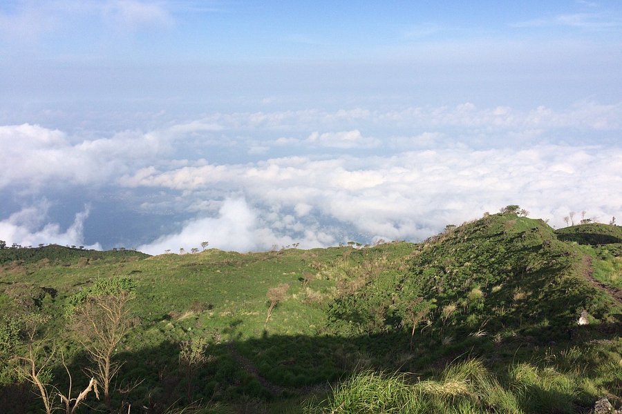 Mount Cameroon Trekking image