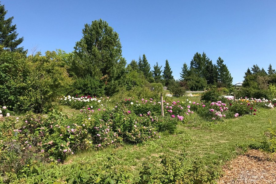 Georgeson Botanical Garden image
