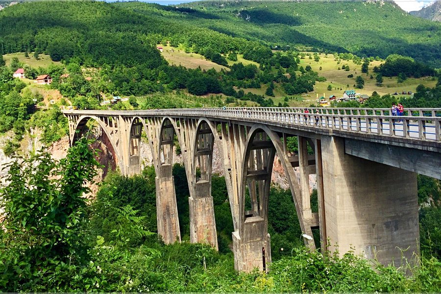 Tara Bridge image