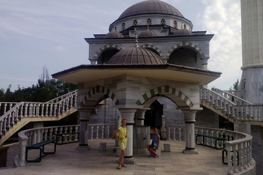 Sultan Suleiman Mosque image